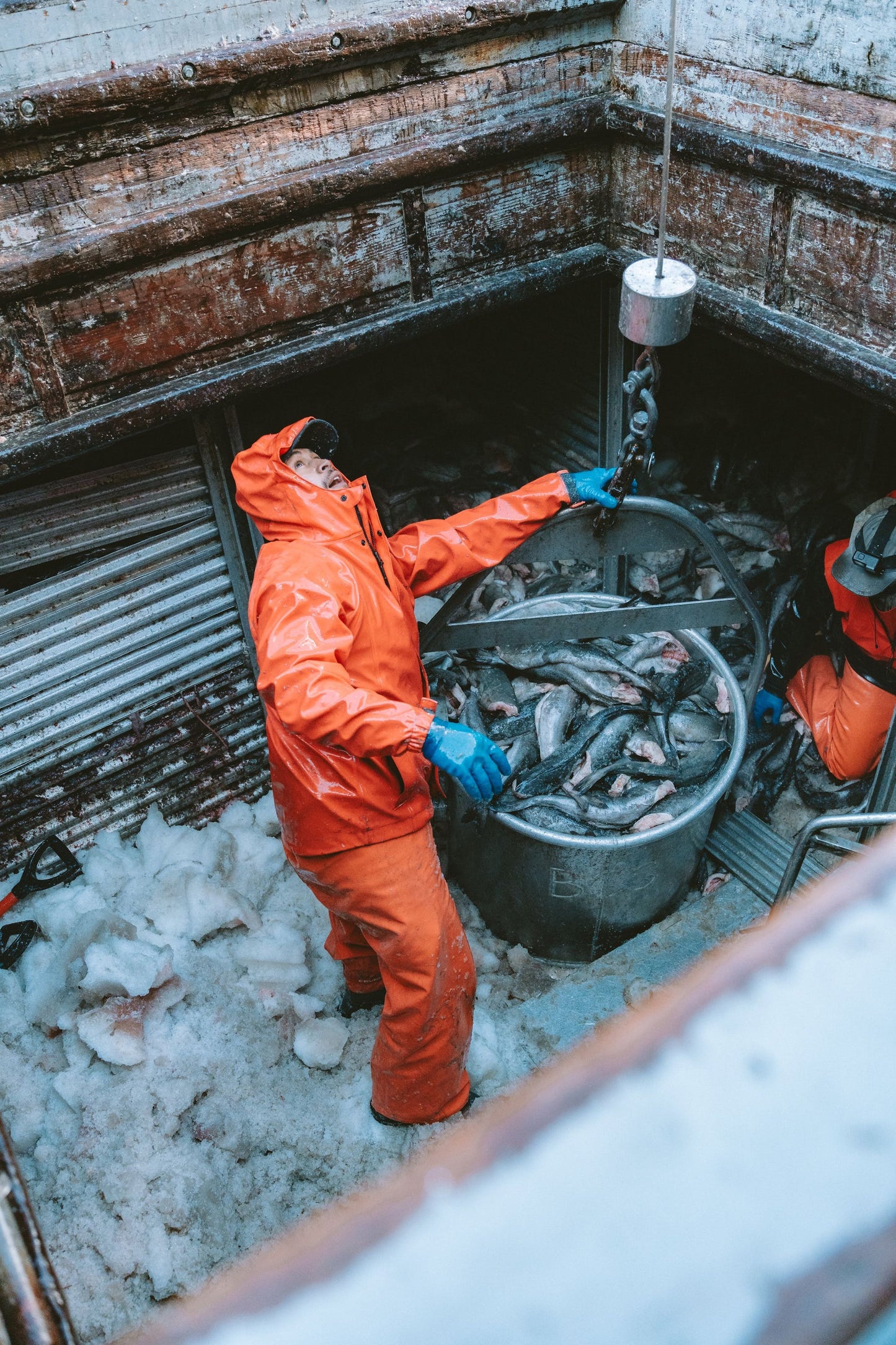 Neptune 319 Commercial Grade Jacket